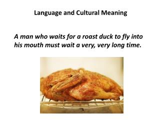 Language and Cultural Meaning