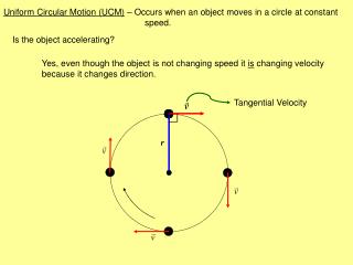 Uniform Circular Motion (UCM) – Occurs when an object moves in a circle at constant 				speed.