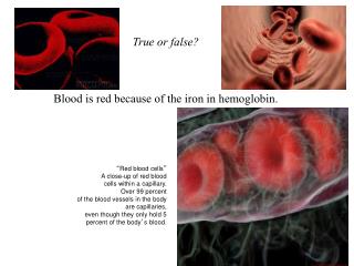 True or false? Blood is red because of the iron in hemoglobin.