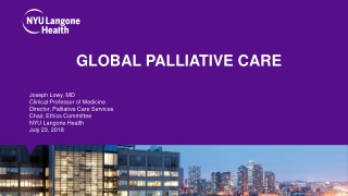 Global Palliative Care