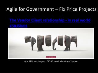 Agile for Government – Fix Price Projects