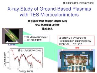 X-ray Study of Ground-Based Plasmas with TES Microcalorimeters