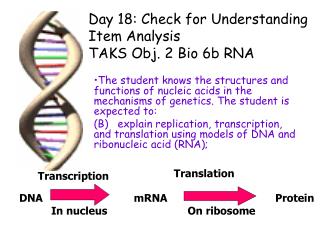 Day 18: Check for Understanding Item Analysis TAKS Obj. 2 Bio 6b RNA