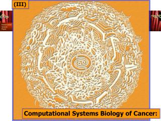 Computational Systems Biology of Cancer: