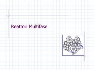 Reattori Multifase