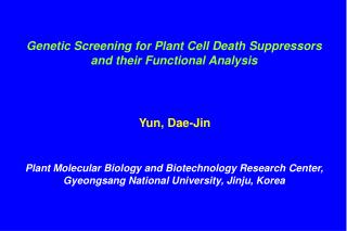 Genetic Screening for Plant Cell Death Suppressors and their Functional Analysis