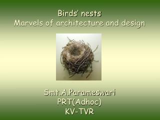 Birds’ nests Marvels of architecture and design