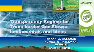 Transparency Regime for Trans-border Gas Flows: fundamentals and ideas