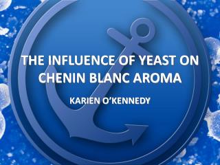 THE INFLUENCE OF YEAST ON CHENIN BLANC AROMA