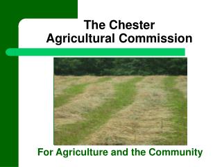 The Chester Agricultural Commission