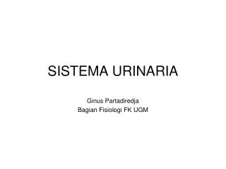 SISTEMA URINARIA