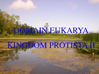 DOMAIN EUKARYA KINGDOM PROTISTA II