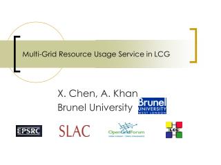 Multi-Grid Resource Usage Service in LCG