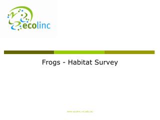 Frogs - Habitat Survey