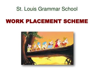 St. Louis Grammar School WORK PLACEMENT SCHEME