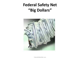 Federal Safety Net “Big Dollars”