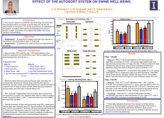EFFECT OF THE AUTOSORT SYSTEM ON SWINE WELL-BEING