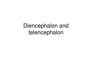 Diencephalon and telencephalon