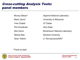 Cross-cutting Analysis Tools: panel members