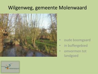 Wilgenweg, gemeente Molenwaard