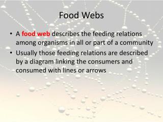 Food Webs