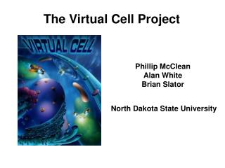 The Virtual Cell Project