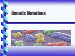 Genetic Mutations