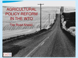 AGRICULTURAL POLICY REFORM IN THE WTO
