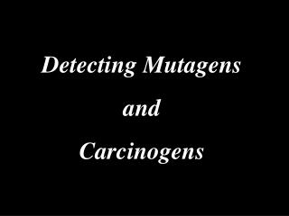Detecting Mutagens and Carcinogens