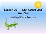 Lesson 29 The Lizard and the Sun