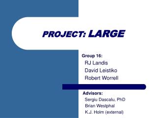 PROJECT: LARGE