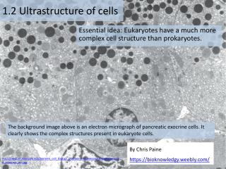 1 .2 Ultrastructure of cells