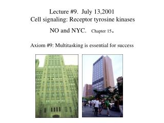 Lecture #9. July 13,2001 Cell signaling: Receptor tyrosine kinases NO and NYC. Chapter 15 .