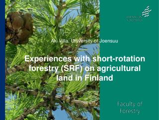 Experiences with short-rotation forestry (SRF) on agricultural land in Finland