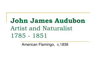 John James Audubon Artist and Naturalist 1785 - 1851