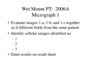 Wet Mount PT: 2006A Micrograph 1