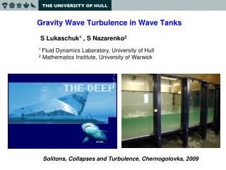 Gravity Wave Turbulence in Wave Tanks
