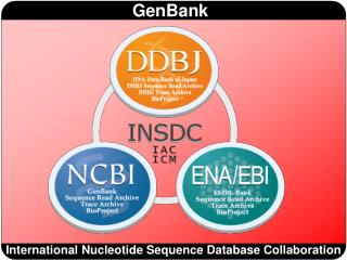 International Nucleotide Sequence Database Collaboration