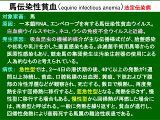 馬伝染性貧血 （ equine infectious anemia ） 法定伝染病