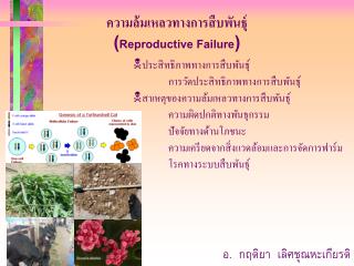 ความล้มเหลวทางการสืบพันธุ์ ( Reproductive Failure )