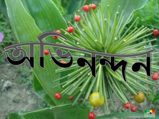 অভিনন্দন