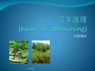 居家護理 (home health nursing)