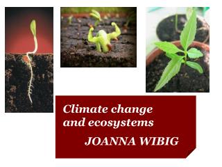 Climate change and ecosystems 	JOANNA WIBIG