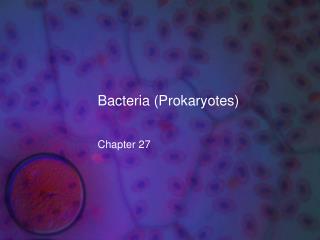 Bacteria (Prokaryotes)