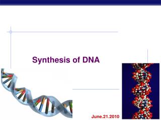 Synthesis of DNA