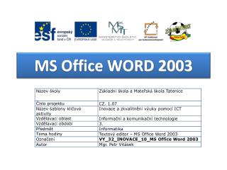 MS Office WORD 2003