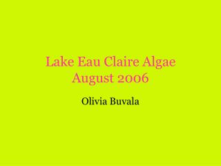 Lake Eau Claire Algae August 2006