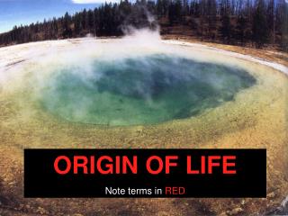 ORIGIN OF LIFE Note terms in RED