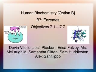 Human Biochemistry [Option B] B7: Enzymes Objectives 7.1 – 7.7