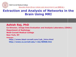 Extraction and Analysis of Networks in the Brain Using MRI